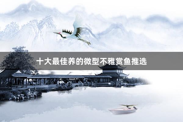十大最佳养的微型不雅赏鱼推选